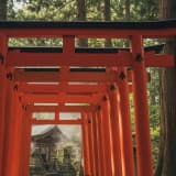 神社の鳥居 なぜ赤い?理由と由来を深掘り:歴史、信仰、建築の全貌